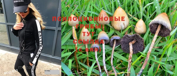 каннабис Покачи