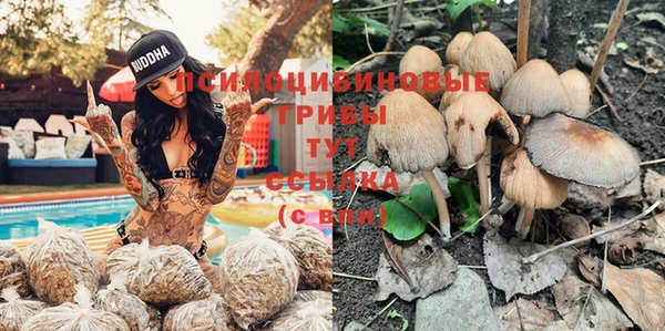 герыч Абаза