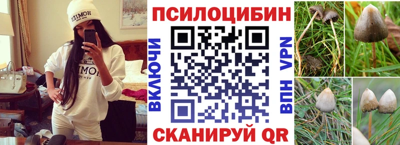 Псилоцибиновые грибы мицелий  цены   Зея 